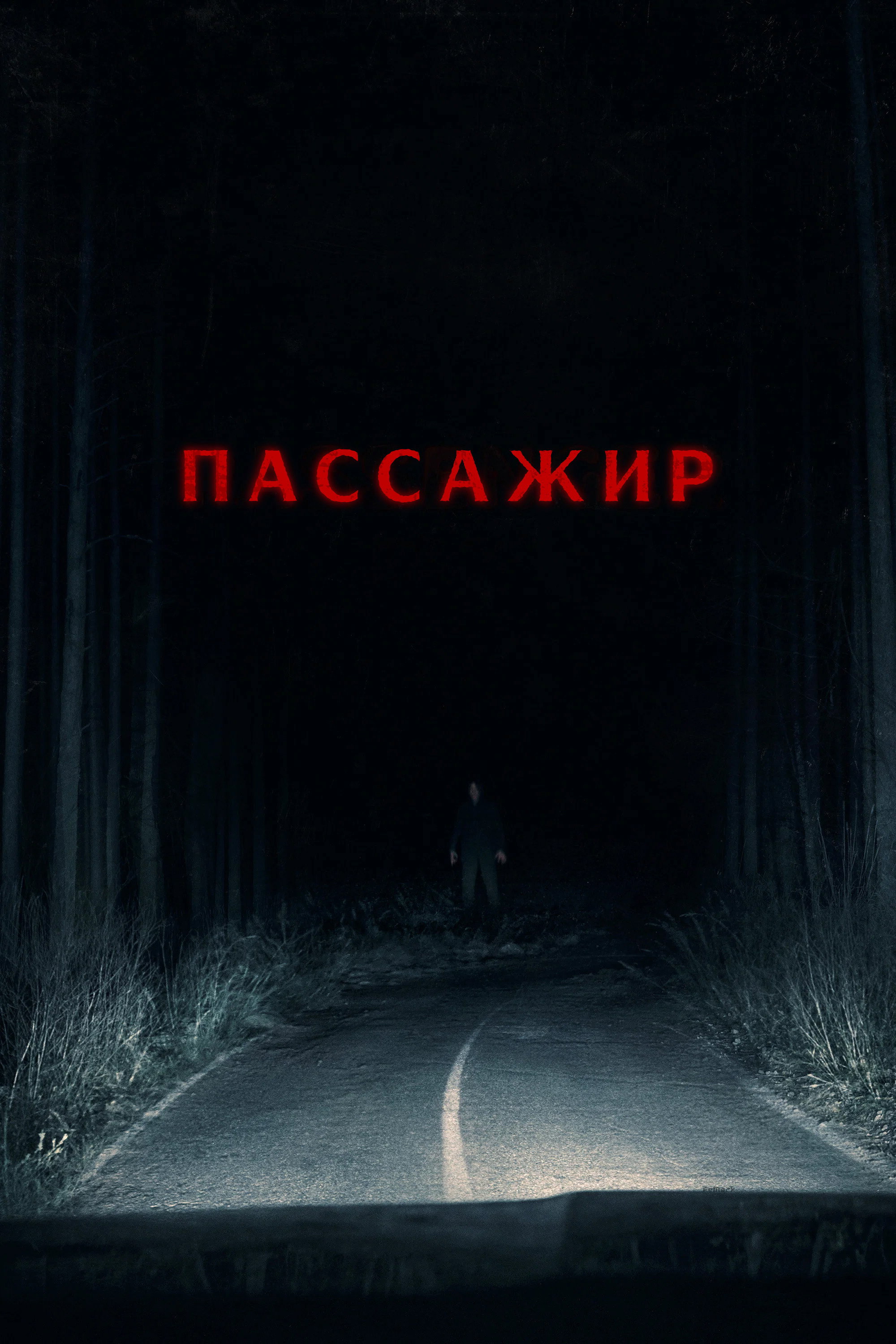 Постер Пассажир / Passenger (2026)