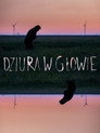 Дыра в голове