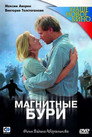 Магнитные бури