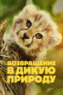 Рожденный быть диким