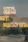 Здесь могут водиться тигры
