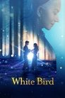 Белая птица: Новое чудо White Bird