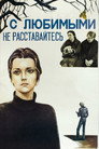 Большие кошки, маленький мир