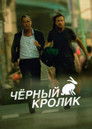 Черный кролик