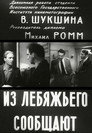 Из Лебяжьего сообщают